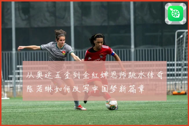 从奥运五金到全红婵恩师跳水传奇陈若琳如何改写中国梦新篇章