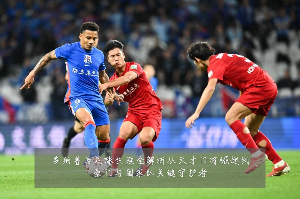 多纳鲁马足球生涯全解析从天才门将崛起到豪门与国家队关键守护者